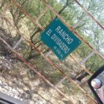 Colectivo reporta localización de restos óseos en zona rural de Doctor coss