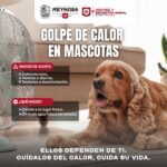 Fomenta Gobierno de Carlos Peña Ortiz cuidado de mascotas por altas temperaturas