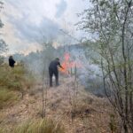 Guardia Estatal sofoca incendio de pastizal y brinda seguridad a automovilistas en Abasolo