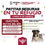 Impulsa Gobierno de Carlos Peña Ortiz atención veterinaria con Patitas Seguras en tu Refugio