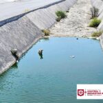 Pone Gobierno de Carlos Peña Ortiz a salvo a canino atrapado en canal de Puerta Grande