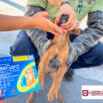Continúa Gobierno de Carlos Peña Ortiz con acciones de protección animal en Valle Soleado