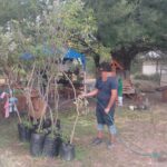 Refrendan adolescentes su compromiso con el medio ambiente como parte de su reinserción social