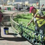Rehabilitó Servicios Públicos barandales de área verde en bulevar Morelos con Álvaro Obregón