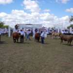 TODO LISTO PARA SEGUNDO CONCURSO DEL NOVILLO GORDO ORGANIZADO POR EL GOBIERNO MUNICIPAL