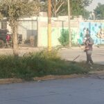 Realiza Servicios Públicos trabajo de limpieza en camellón de Riveras del Carmen