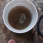 Agua de la llave es apta para consumo en Tamaulipas, asegura Coepris